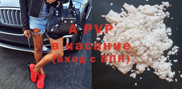 спайс Корсаков