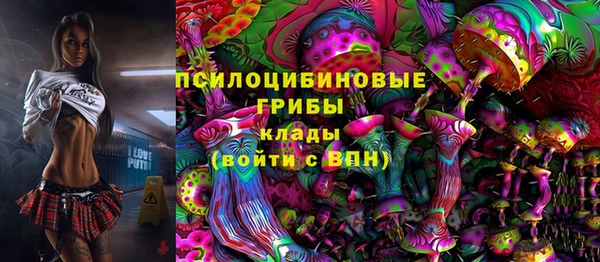 сатива Краснотурьинск