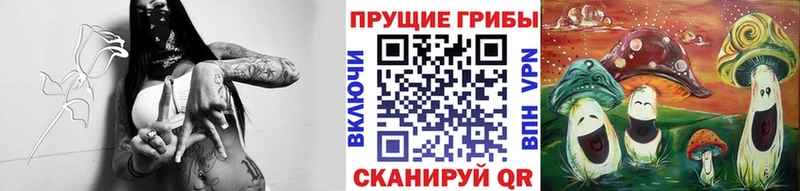 Псилоцибиновые грибы MAGIC MUSHROOMS  Купить где  Жуков 